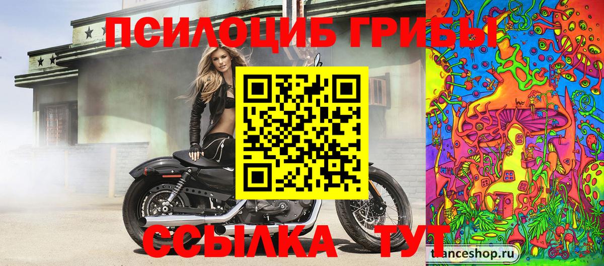 Феодосия  Галлюциногенные грибы Psilocybe  цена наркотик  Вход с VPN  Псилоцибиновые грибы GOLDEN TEACHER 